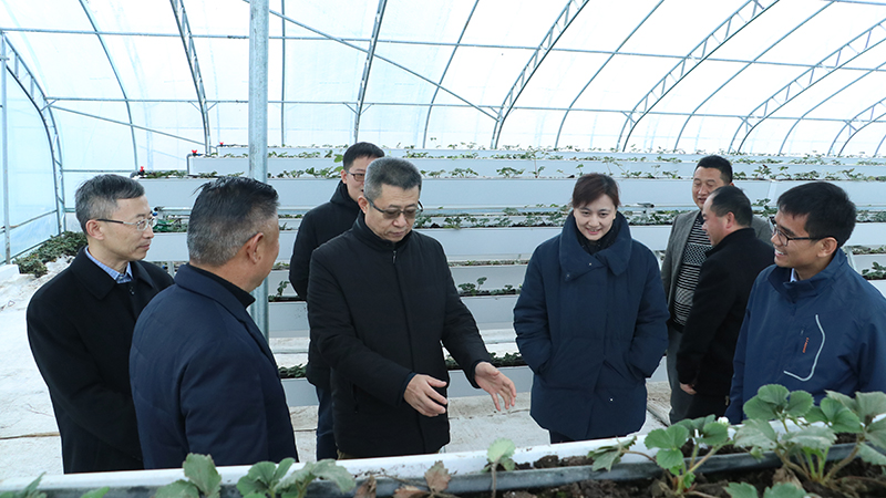 凯发·k8(中国区)官方网站