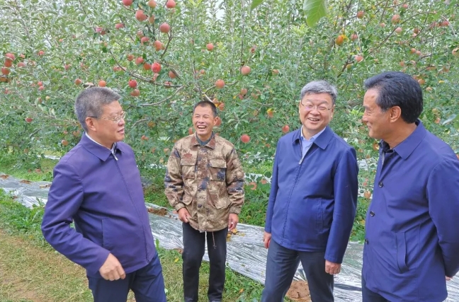 凯发·k8(中国区)官方网站