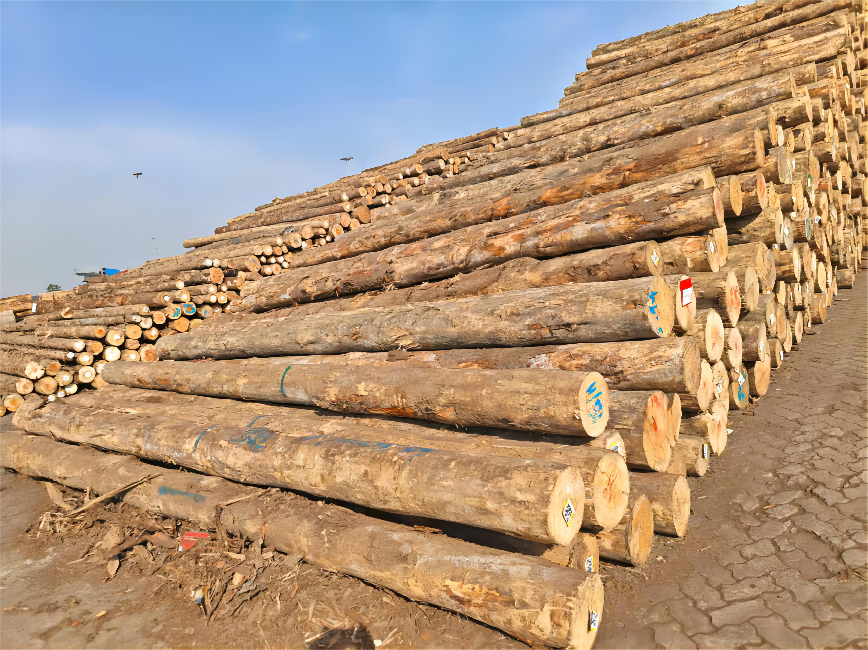 凯发·k8(中国区)官方网站